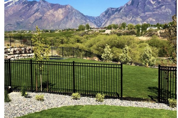 Ornamental fence for the backyard